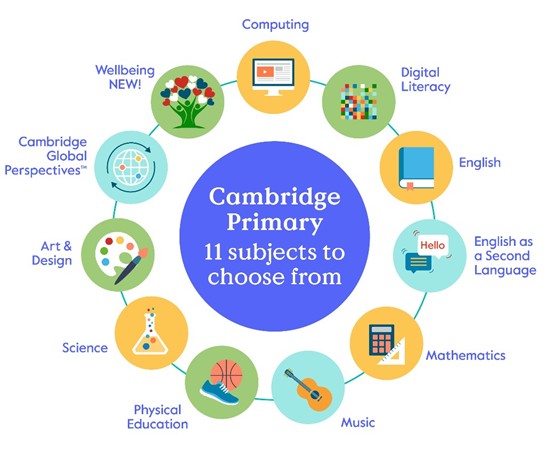 camPrimary